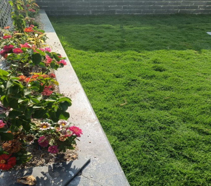 5 BHK Villa 3250 Sq.ft. for Sale in Baddi, Solan