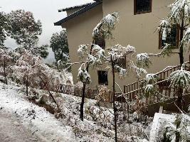 4 BHK House for Sale in Basal, Solan