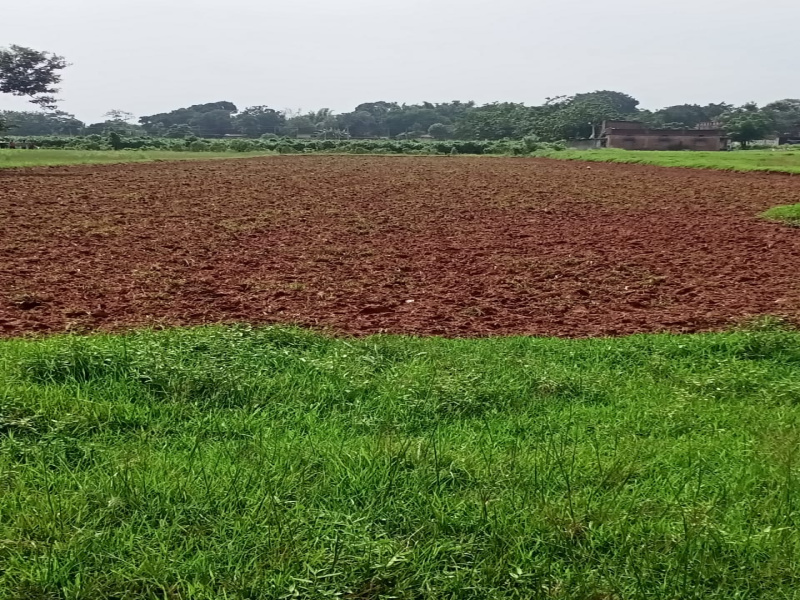 78 Dismil Commercial Land for Sale in Itki, Ranchi