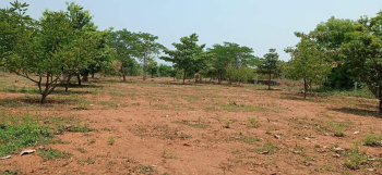  Agricultural Land for Sale in Mettupalayam Coimbatore