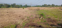  Residential Plot for Sale in Sudhagad, Raigad