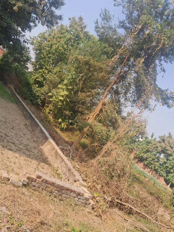  1610 Sq.ft. Residential Plot for Sale in Akbarpur, Ambedkar Nagar