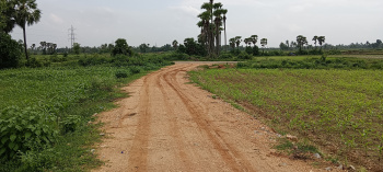  Agricultural Land for Sale in Laveru, Srikakulam