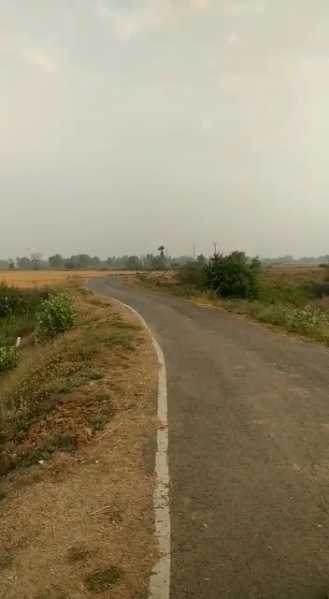  Agricultural Land 600 Katha for Sale in Hilsa, Nalanda