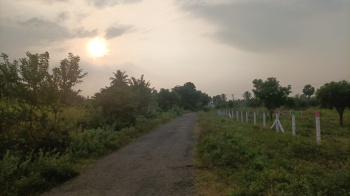  Agricultural Land for Sale in Puliampatti, Erode