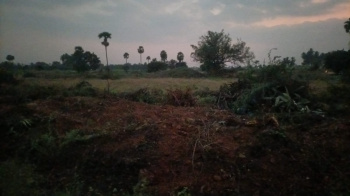  Agricultural Land for Sale in Punjai Puliampatti, Erode
