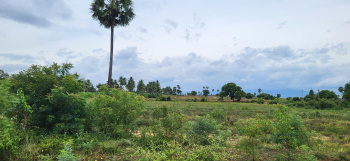  Residential Plot for Sale in Gobichettipalayam, Erode