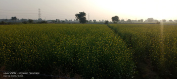  Agricultural Land for Sale in Bamrauli Road, Agra