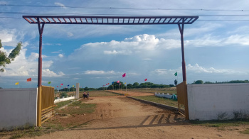  Residential Plot for Sale in Navalurkottapattu, Tiruchirappalli