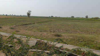  Agricultural Land for Sale in Dholka, Ahmedabad