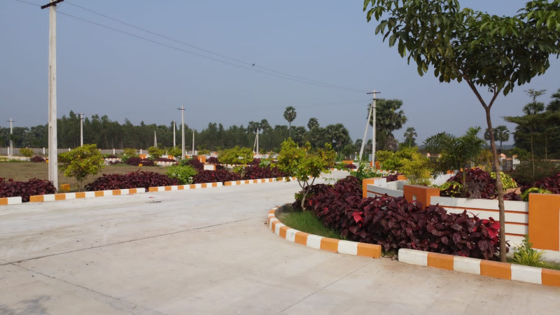  Residential Plot 200 Sq. Yards for Sale in Gajularega, Vizianagaram