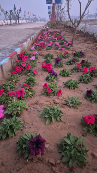 Residential Plot for Sale in Ajmer Road, Jaipur