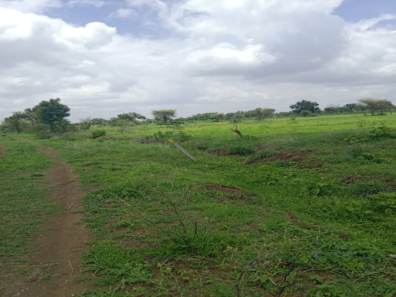  Agricultural Land 4840 Sq. Yards for Sale in Mominpet Mandal, Vikarabad