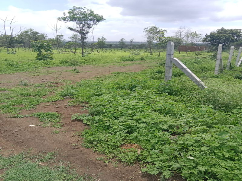  Agricultural Land 4840 Sq. Yards for Sale in Mominpet Mandal, Vikarabad