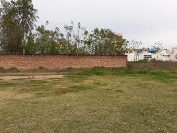  Residential Plot for Sale in Dasuya, Hoshiarpur