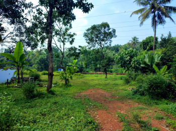  Commercial Land for Sale in Koothuparamba, Kannur