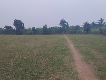  Agricultural Land for Sale in Vandavasi, Chennai