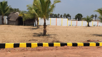  Agricultural Land for Sale in Marakkanam, Villupuram