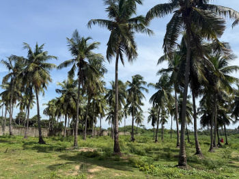  Warehouse for Sale in Pudupattinam, Chengalpattu