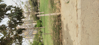  Residential Plot for Sale in Sector 91 Gurgaon