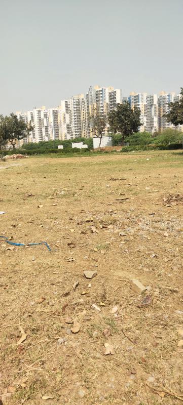  Residential Plot 300 Sq. Yards for Sale in Sector 84 Gurgaon