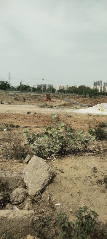  Residential Plot 240 Sq. Yards for Sale in Sector 85 Gurgaon
