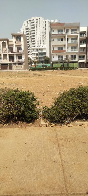  Residential Plot 411 Sq. Yards for Sale in Sector 91 Gurgaon