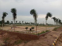  Commercial Land for Sale in Airport Road, Mohali