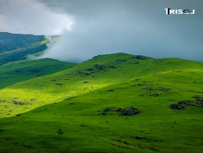 4 BHK Farm House 319 Sq.ft. for Sale in Trimbakeshwar, Nashik