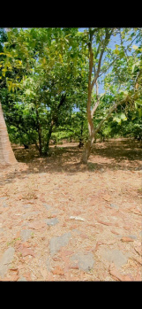  Agricultural Land for Sale in Dahanu, Palghar
