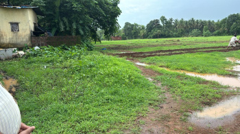  Agricultural Land for Sale in Malwan, Sindhudurg