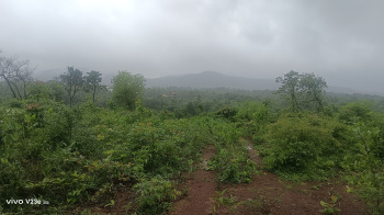  Agricultural Land for Sale in Sawantwadi, Sindhudurg