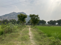 1 RK Farm House for Sale in Gingee, Villupuram