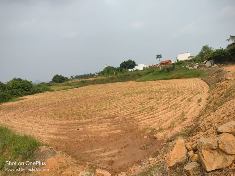  Residential Plot 1 Acre for Sale in Kelamangalam Road, Hosur