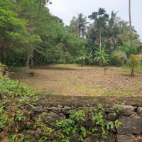  Residential Plot for Sale in Perinthalmanna, Malappuram