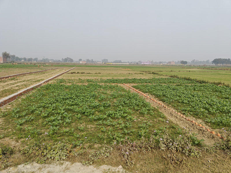  Residential Plot 1361 Sq.ft. for Sale in Ayodhya, Faizabad