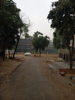  Residential Plot for Sale in Sector 50 Gurgaon