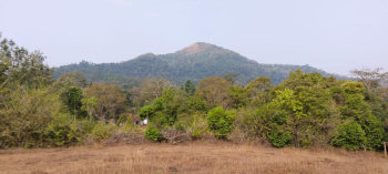  Agricultural Land for Rent in Sakleshpur, Hassan