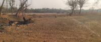  Residential Plot for Sale in Masturi, Bilaspur