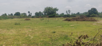  Agricultural Land for Sale in Bandhavgarh National Park, Umaria