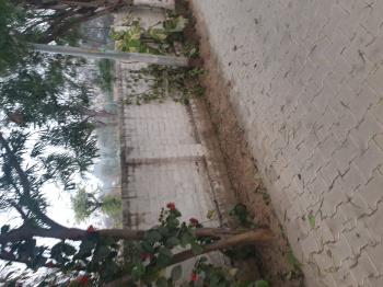  Residential Plot for Sale in Guru Teg Bahadur Nagar, Ludhiana
