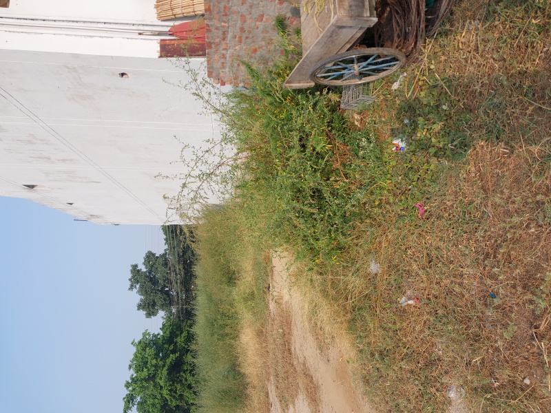  Residential Plot 250 Sq. Yards for Sale in Bhai Randhir Singh Nagar, Ludhiana