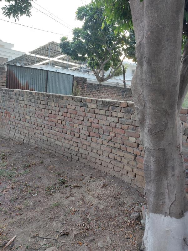  400 Sq. Yards Residential Plot for Sale in Bhai Randhir Singh Nagar, Ludhiana