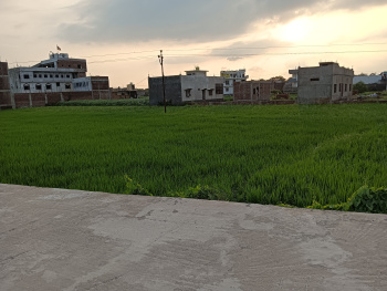  Commercial Land for Sale in Ayodhya Bypass, Faizabad