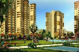 2 BHK Flat for Sale in Sector 63 Greater Noida West