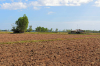  Agricultural Land for Sale in Shyamnagar, North 24 Parganas