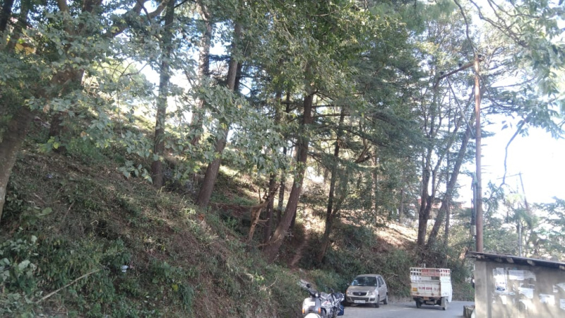 Residential Plot 5 Biswa for Sale in Tank Road, Solan