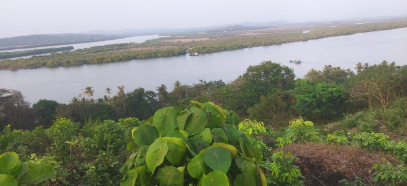  Commercial Land 15000 Sq. Meter for Sale in Kadamba Plateau, Goa