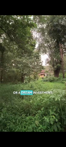  Commercial Land 2025 Sq. Meter for Sale in Salvador Do Mundo, Bardez, Goa