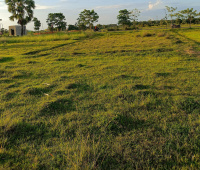  Residential Plot for Sale in Raghunathpur Purulia